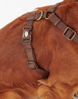 harnais-chiens-barbour-DAC0011TN11-zoom