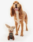 jouet-lapin-pour-chien-barbour-dac0076mi31-av