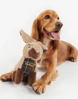 jouet-lapin-pour-chien-barbour-dac0076mi31