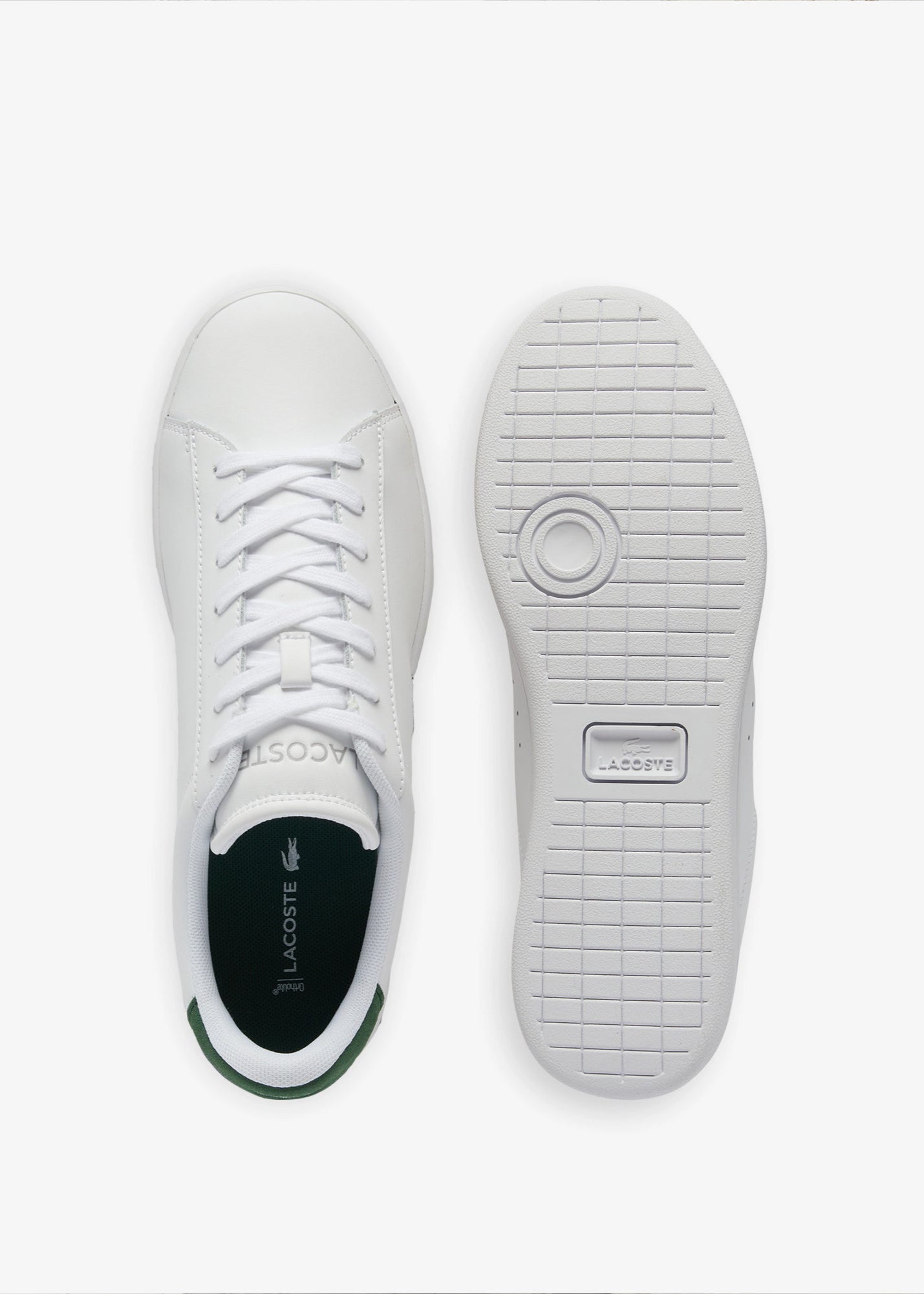 Baskets Lacoste blanches pour homme | Georgespaul 