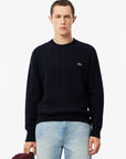 Pull Lacoste marine homme | Georgespaul            