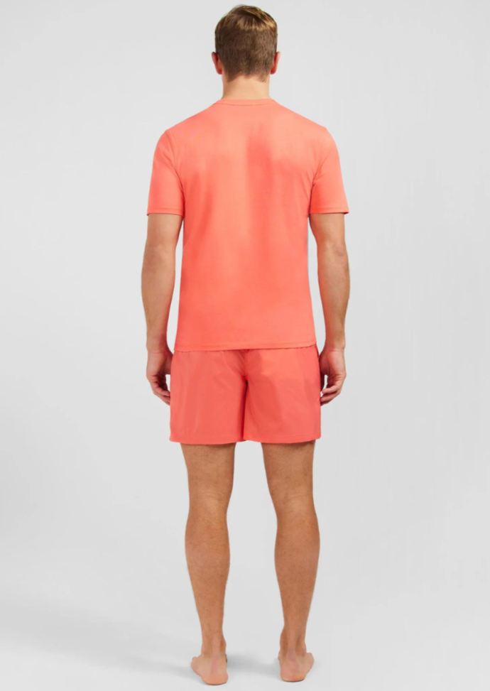 T-Shirt homme Eden Park orange | Georgespaul