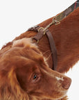 harnais-chiens-barbour-DAC0011TN11-face-zoom