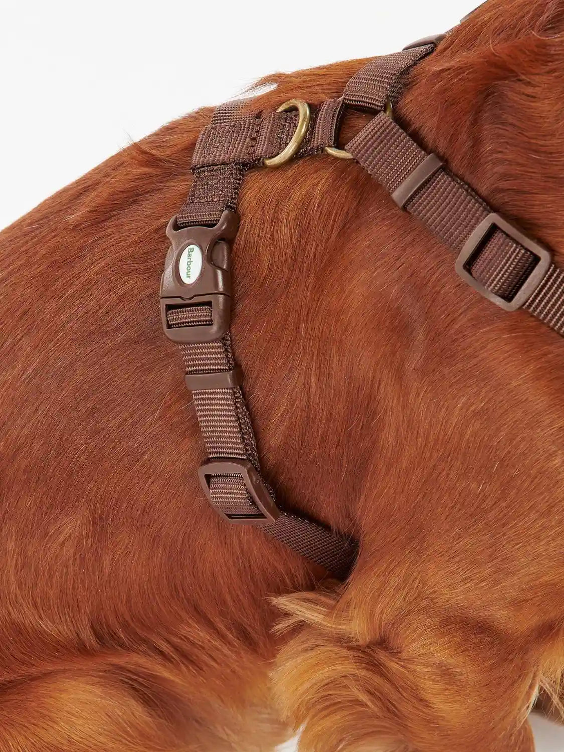 harnais-chiens-barbour-DAC0011TN11-zoom