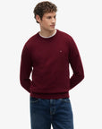 pull-tommy-hilfiger-bordeaux-face-mw0mw28046vlp