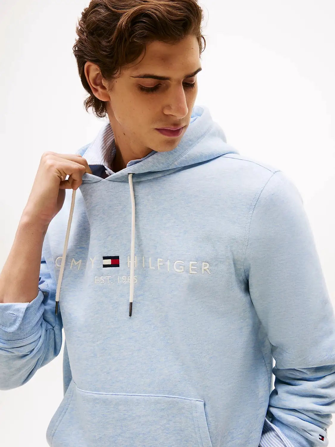 sweat-capuche-tommy-hilfiger-bleu-homme-zoom