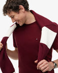 tshirt-tommy-hilfiger-bordeaux-zoom-mw0mw39995vlp
