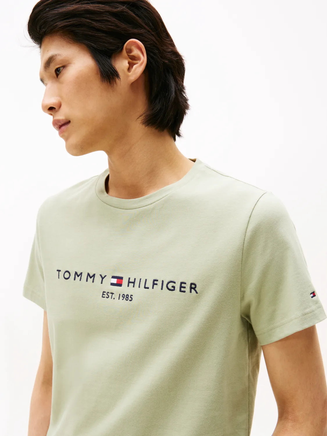 tshirt-tommy-hilfiger-homme-mw0mw11797l9a-zoom