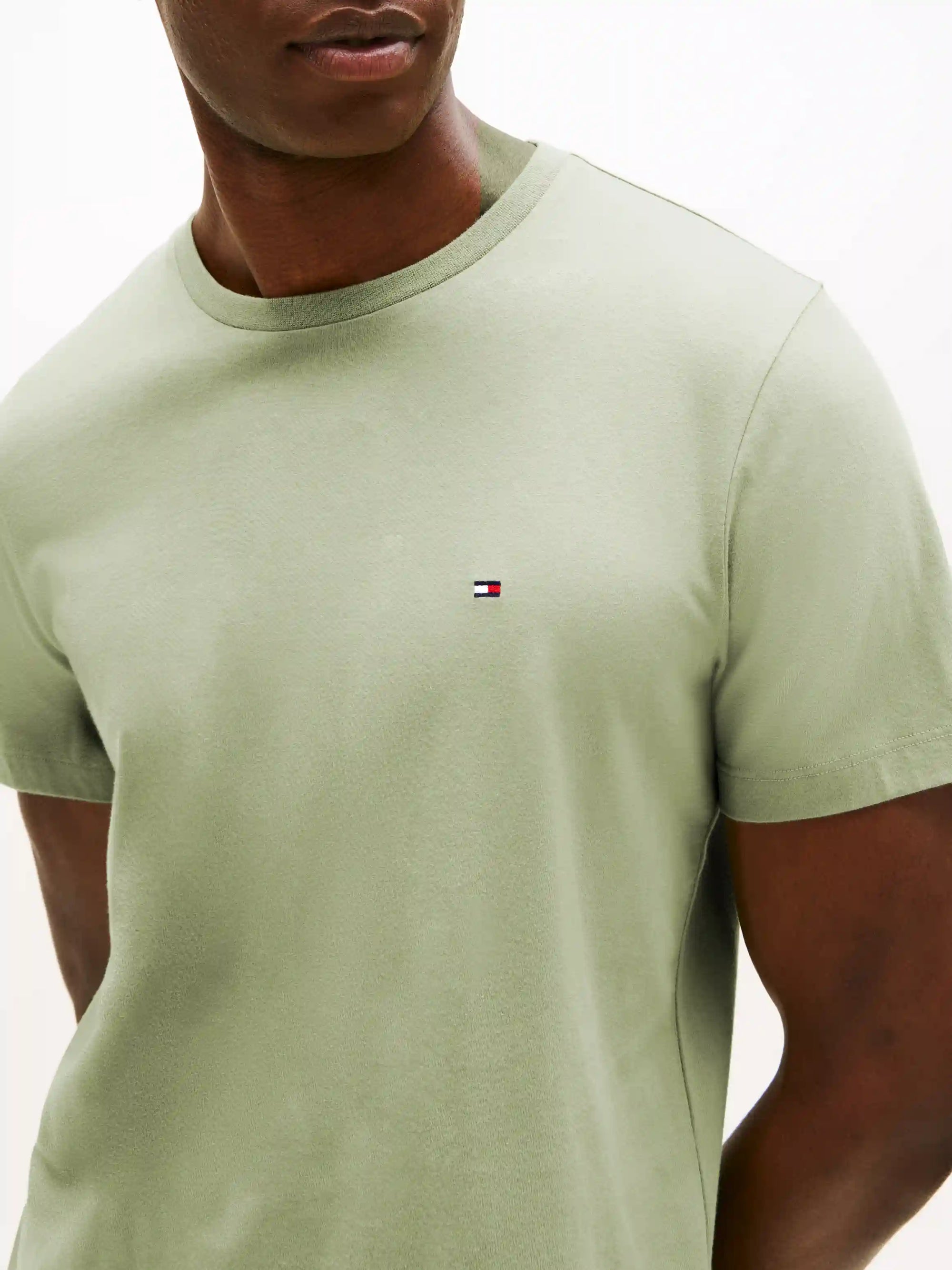 tshirt-tommy-hilfiger-homme-mw0mw39995l9a-zoom