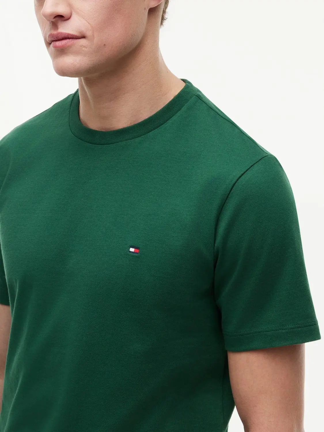 tshirt-tommy-hilfiger-homme-vert-MW0MW39995L2N-zoom