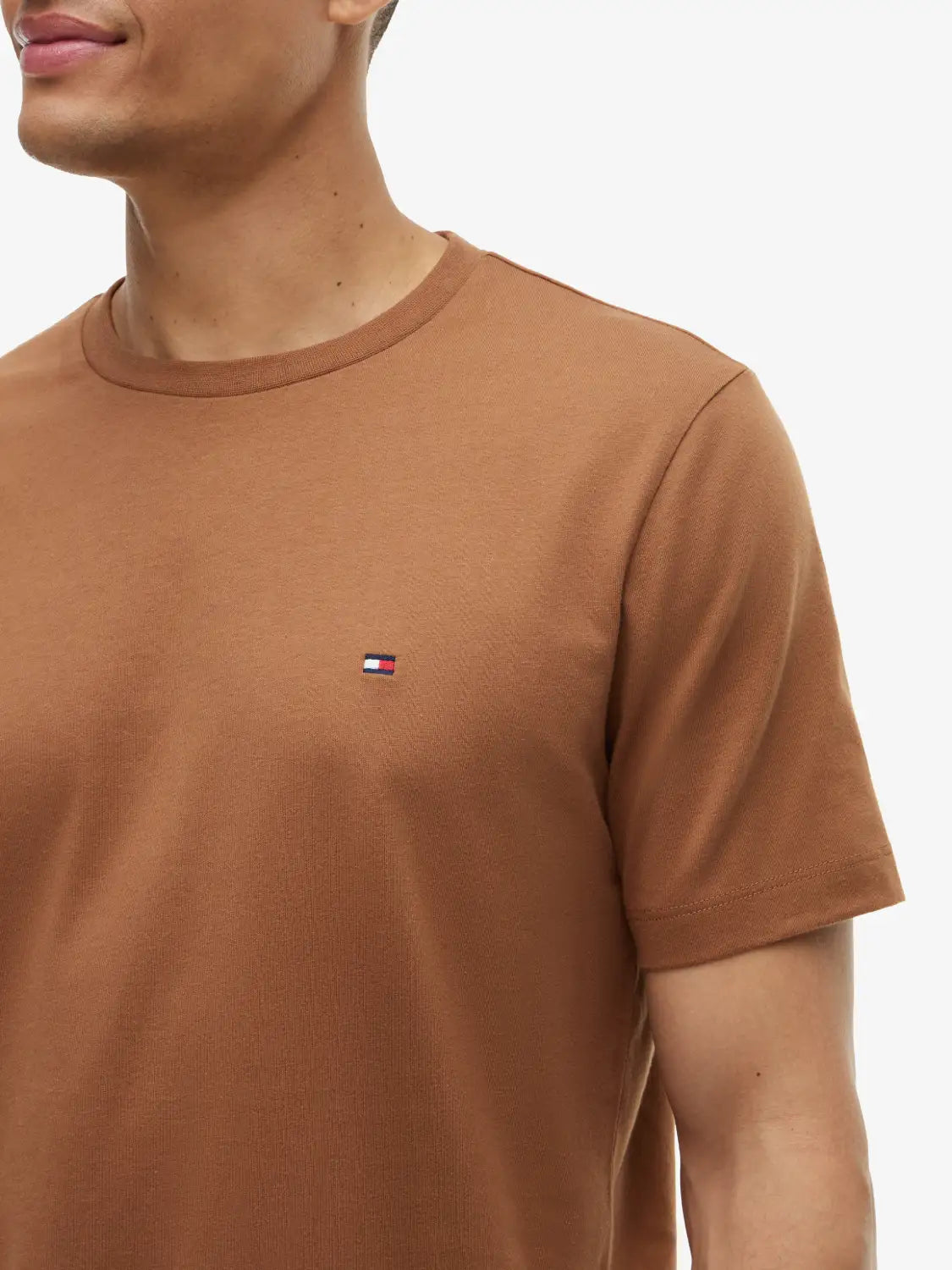 tshirt-tommy-hilfiger-marron-zoom-mw0mw39995gvh
