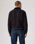 veste-sherpa-homme-levis-163650291-dos