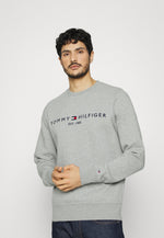Laden Sie das Bild in den Galerie-Viewer, Sweat col rond homme logo Tommy Hilfiger gris en coton bio | Georgespaul
